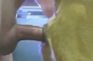 Horse Porn Tube