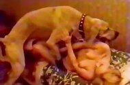 Raw Zoo Sex - Animal Clips & Zofilia