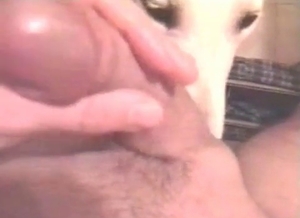 Blowjob entertainment by a lovely white doggy