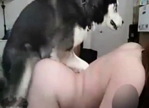 Sweet hole nicely fucked by a perverted doggy