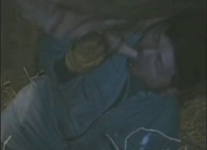 Bull is going to fuck that guy's mouth happily