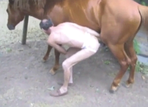Thin dude is going to get rammed by a horse