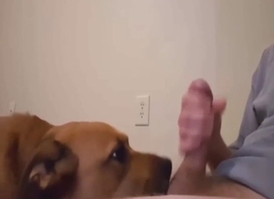 Sexy brown dog is going to love his cock too