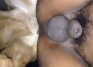 Dude's ass is going to take nice dog penis though