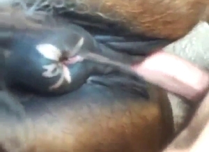 Mare gets its juicy hole fucked so much deeper